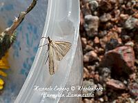 web_per_23
